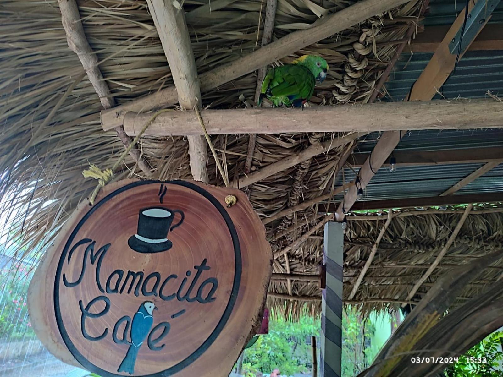 Hotel Mamacita Cafe House Moyogalpa Zewnętrze zdjęcie